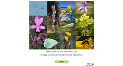 Desktop Screenshot of plant-animal.es